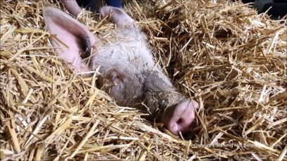 Frederiks Tipps zur Entspannung