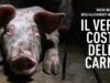 Il vero costo della carne: la vita dei maiali negli allevamenti intensivi