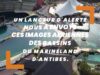 Images inédites d’Inouk, des orques et des dauphins au Marineland d’Antibes
