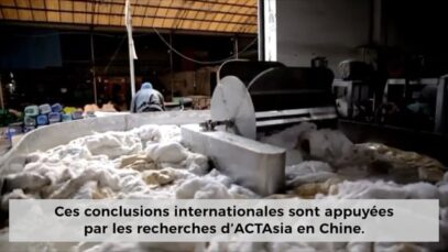 La fourrure : une souffrance pour les animaux mais aussi pour les humains !