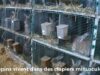 Lapins angoras : l’enquête de 2016 en France