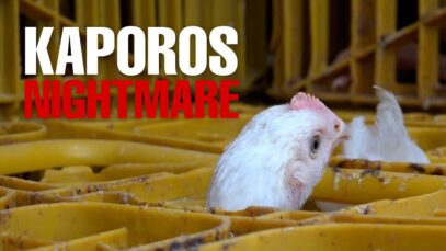 New York 2018 KAPOROS Nightmare: Unseen Footage