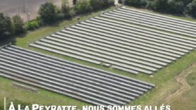 Nouvelles images de One Voice de l’élevage de faisans et perdrix pour la chasse à La Peyratte dans les Deux-Sèvres