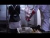 Piglet in Slaughterhouse | Lechon en matadero