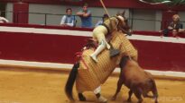 rewrite Bullfight – Puya in Italian