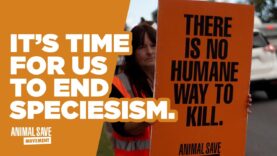 Speciesism Explained: Why We Need to Talk About It