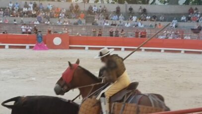 Taureaux, chevaux, tous perdants dans l’arène #StopCorrida
