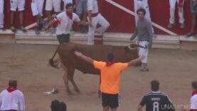 Translate Bull harassment (Iruñea, Pamplona – San Fermin) to Italian