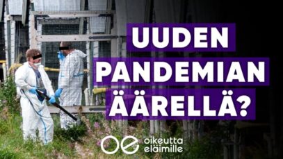 Uuden pandemian äärellä?