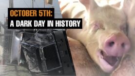 7th Anniversary of Deadly Fearmans Pig Truck Rollover