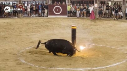 Acabemos con los toros embolados: ¡firma ya!