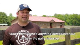 Dairy Truth