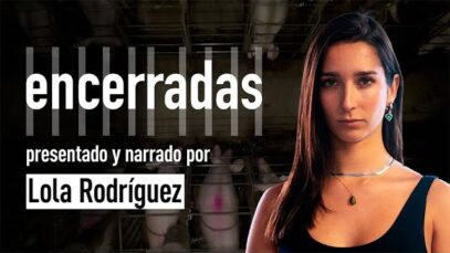 ENCERRADAS | Una investigación sobre las jaulas de la industria porcina española | Igualdad Animal