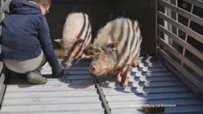 Nächste Haltestelle Freiheit