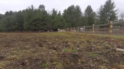 Sanctuary From Above