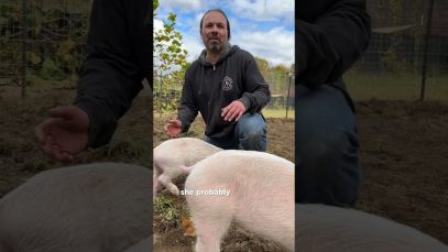 We visited Woodstock Farm Sanctuary to celebrate the spooky season!