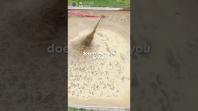 Don’t Be Fooled: This is What Millions of Gallons of Manure Looks Like.