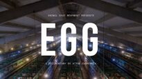 Egg | The Life of Hens Exploited in Cages (Documentary)