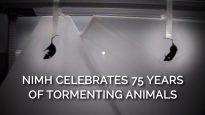 NIMH Celebrates 75 Years of Tormenting Animals