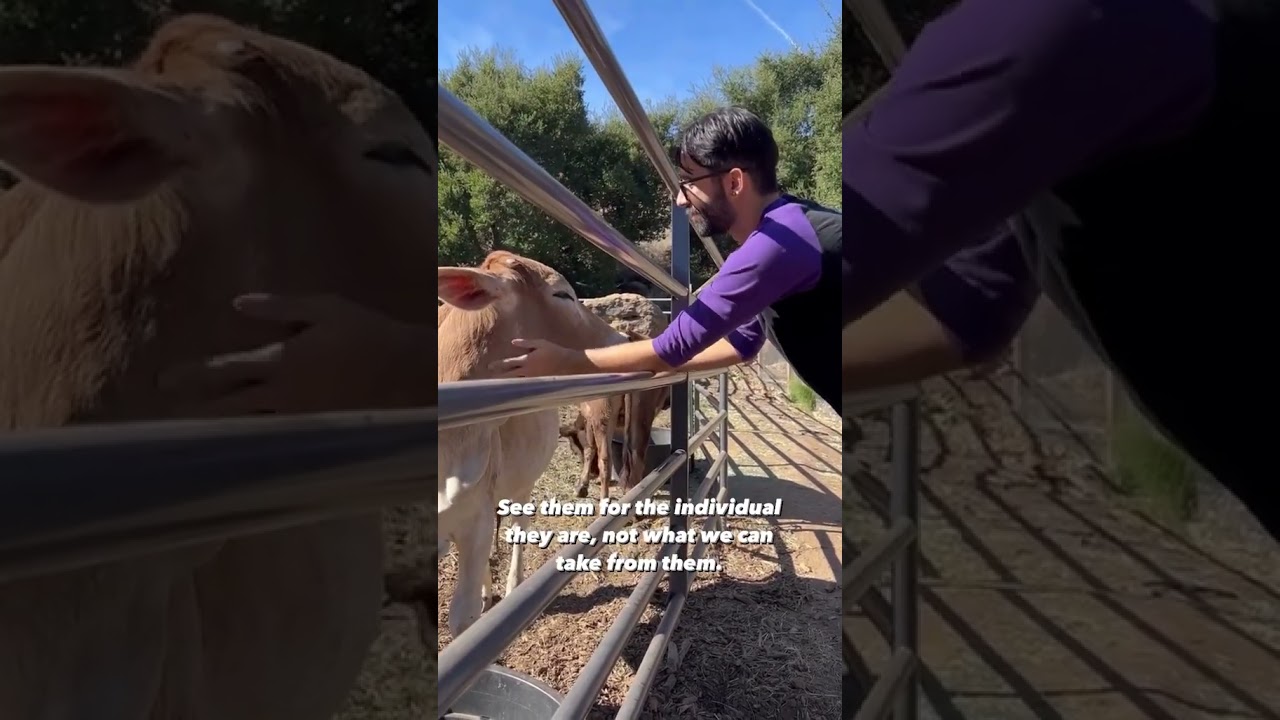 Change The Way You See Animals #youtubeshorts