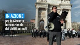 Giornata internazionale dei diritti animali: la nostra azione a Milano