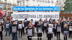 Manifiesto por el Día de los Derechos Animales