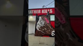 This Vegan Artists New Mural Will Amaze You #shortsyoutube