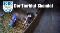 Der Tierblut Skandal // SOKO Tierschutz e.V.