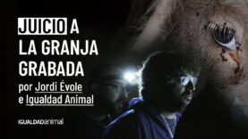 JUICIO a la GRANJA grabada por JORDI ÉVOLE e IGUALDAD ANIMAL