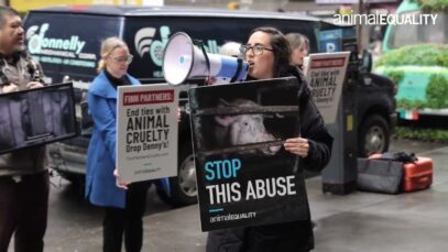Animal Equality calls out Finn Partners in association with Denny’s cruelty