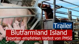 Blutfarmland Island | Experten empfehlen Verbot von PMSG – Trailer
