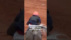 Caught on PETA Videos, Six Jockeys Charged with Animal Cruelty