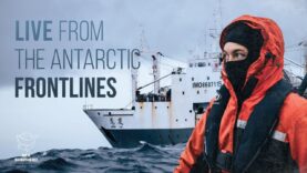 Live From the Antarctic Frontlines