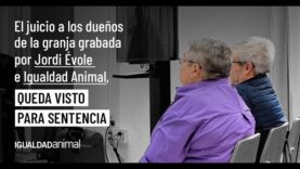 Visto para sentencia el juicio a los dueños de la granja grabada por Jordi Évole e Igualdad Animal