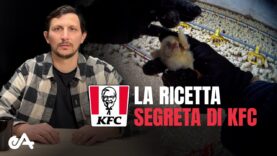 Ecco la realtà dei polli in allevamenti di un fornitore di KFC
