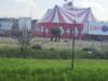 Samba, la dernière éléphante “de cirque” en France, 7 mars 2024