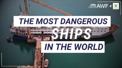 The most dangerous ships in the world | AWF x Robin des Bois