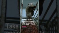 The Reality of Foie Gras: Take a stand against cruelty with every meal