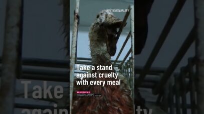 The Reality of Foie Gras: Take a stand against cruelty with every meal