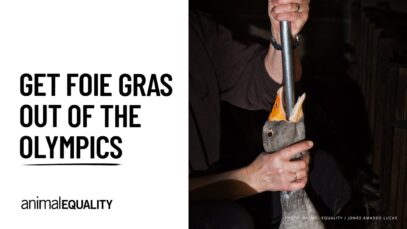 Get foie gras out of the Olympics: our appeal to the Committee of the Paris 2024 Olympic Games