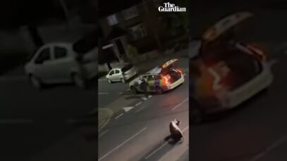 Mucca investita dalla polizia!