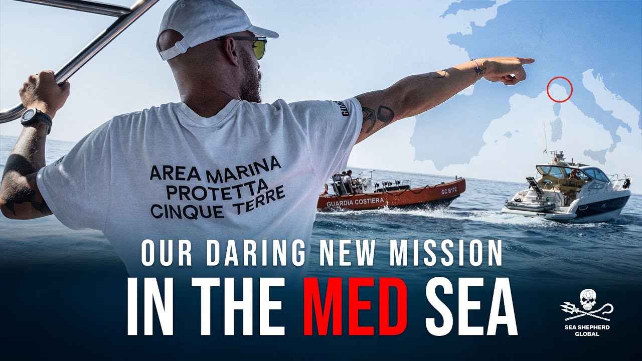 On the Frontlines: Our Daring New Mission in the Med Sea | Laverabestia.org
