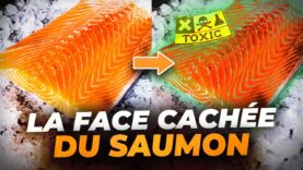 Vous aimez le saumon ? (vous allez changer d’avis)