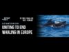 Webinar Recording: Uniting to End Whaling in Europe