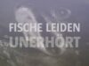 Stumme Schreie – Fische leiden unerhört