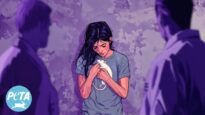 Female Rats Strangled and Killed in Pseudo Domestic Violence Experiment