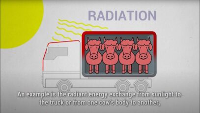 Why regulation 1/2005 requires improvement – Temperature