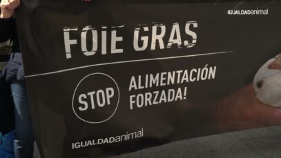 ¡El Corte Inglés: Basta de Foie Gras! | Campaña Igualdad Animal 2025