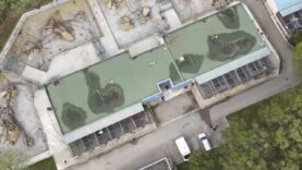 Images de la station de primatologie du CNRS à Rousset