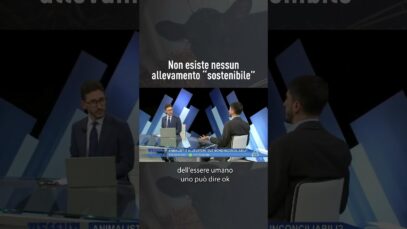 Questa è la domanda che dovremmo porci!